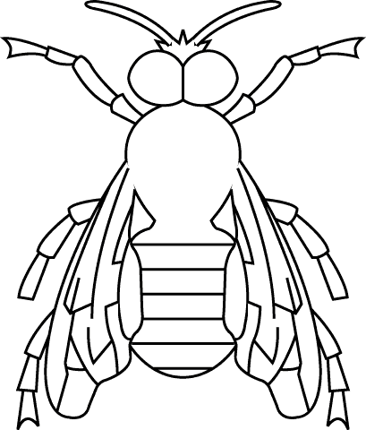 Pszczoły kolorowanki